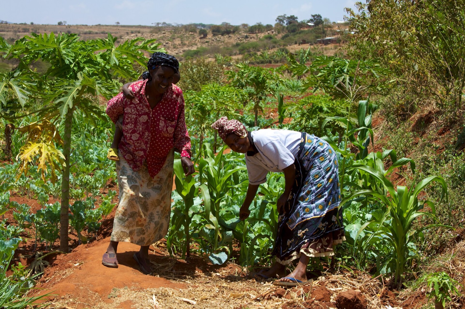 Women smallholder farmers in Kenya