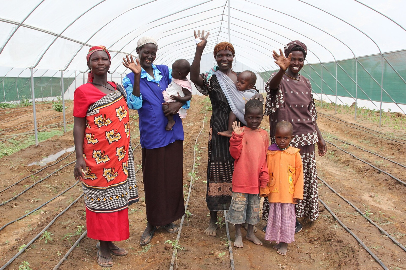 A women's group in a greenhouse in Lodwar